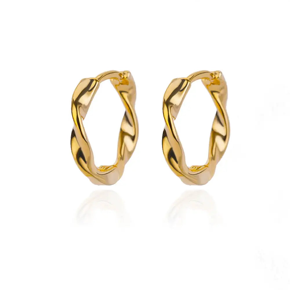 Luxury Stainless Steel Hoop Earrings