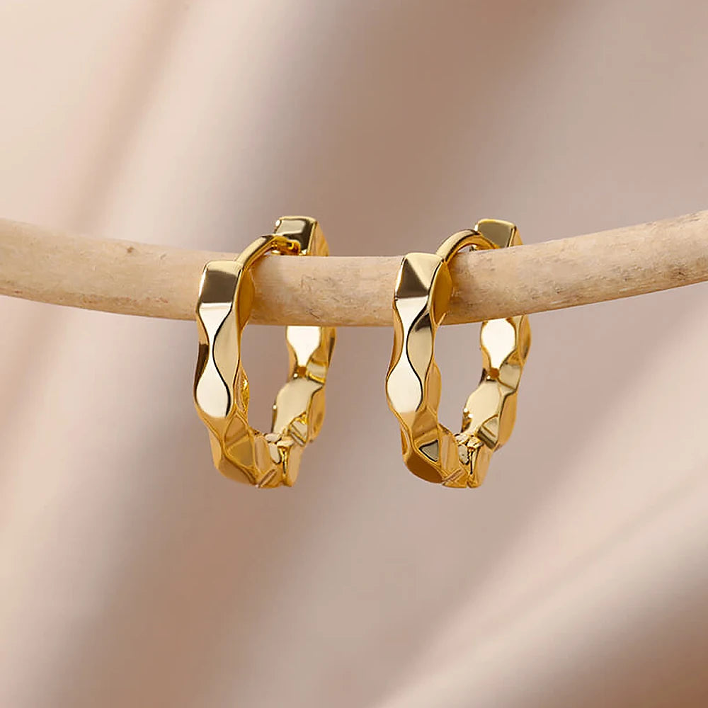 Luxury Stainless Steel Hoop Earrings