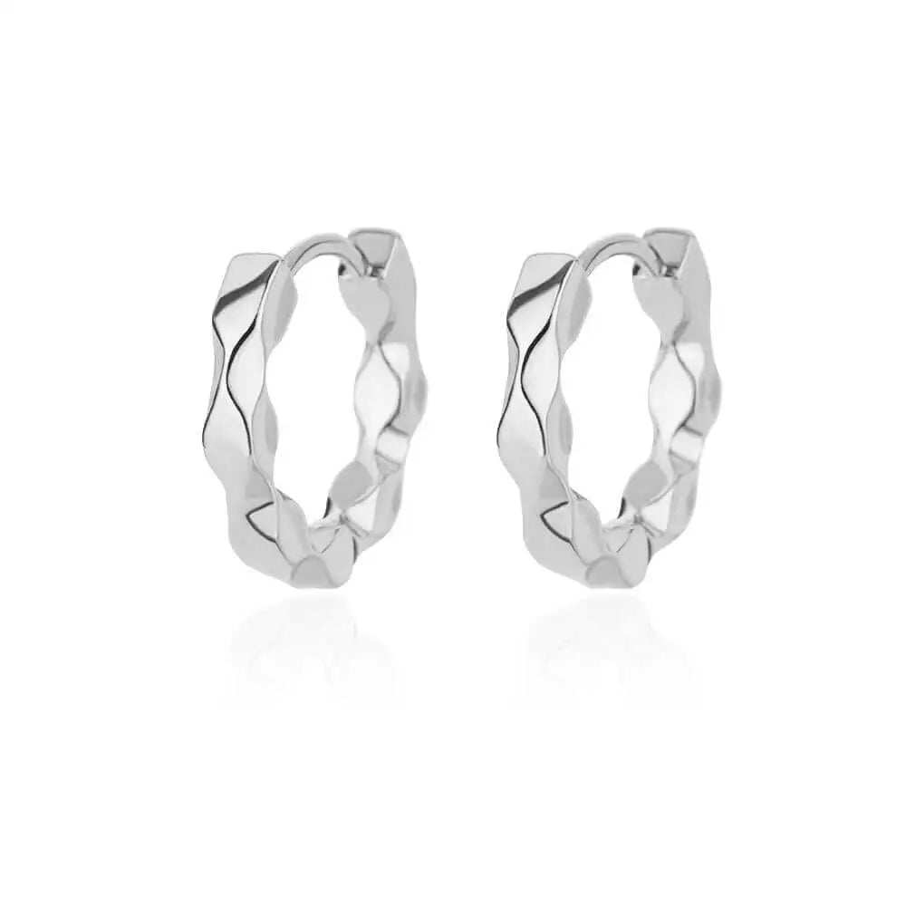 Luxury Stainless Steel Hoop Earrings