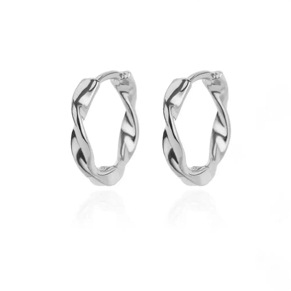 Luxury Stainless Steel Hoop Earrings