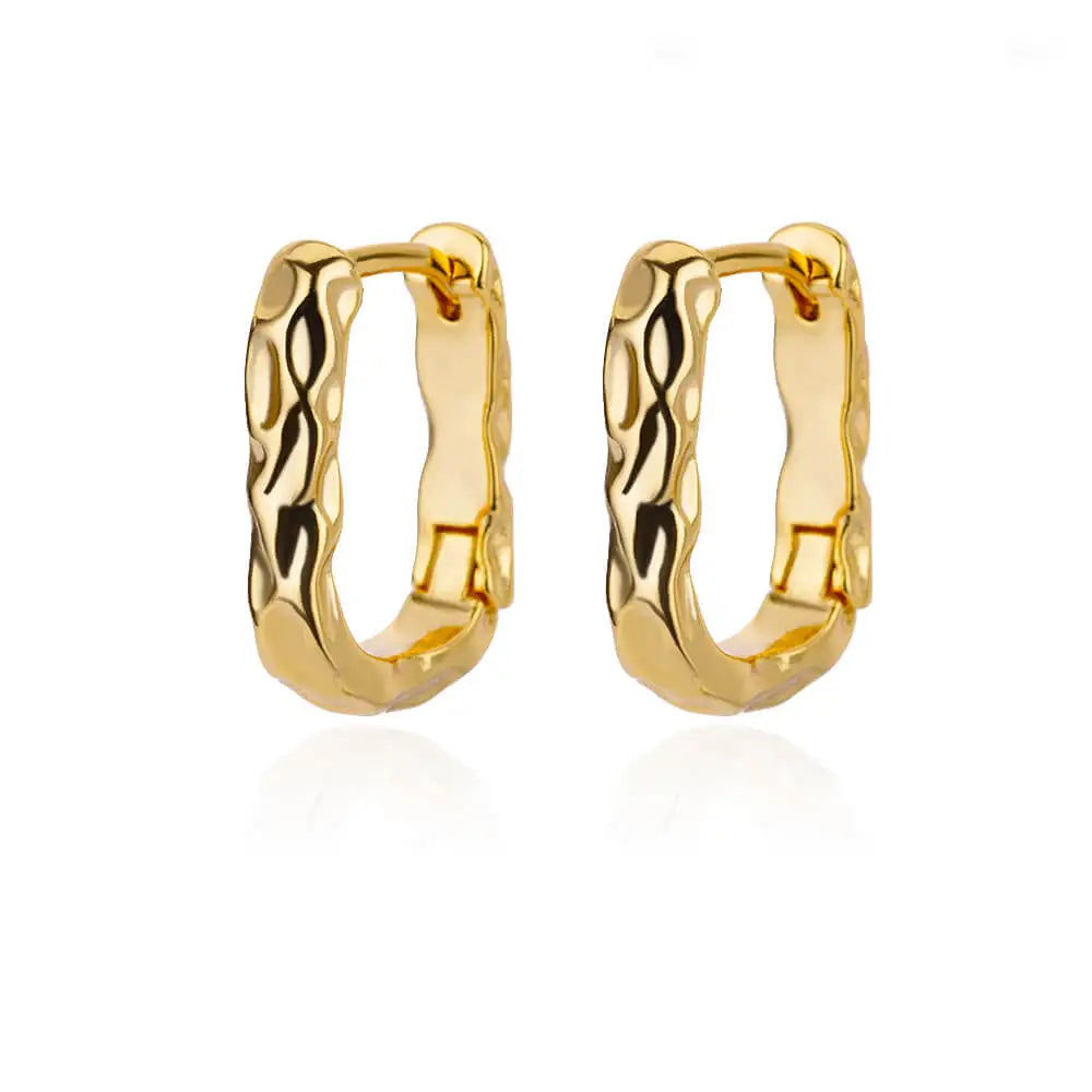 Luxury Stainless Steel Hoop Earrings