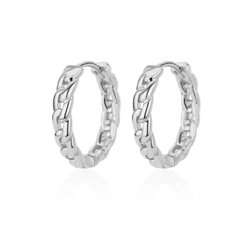 Luxury Stainless Steel Hoop Earrings