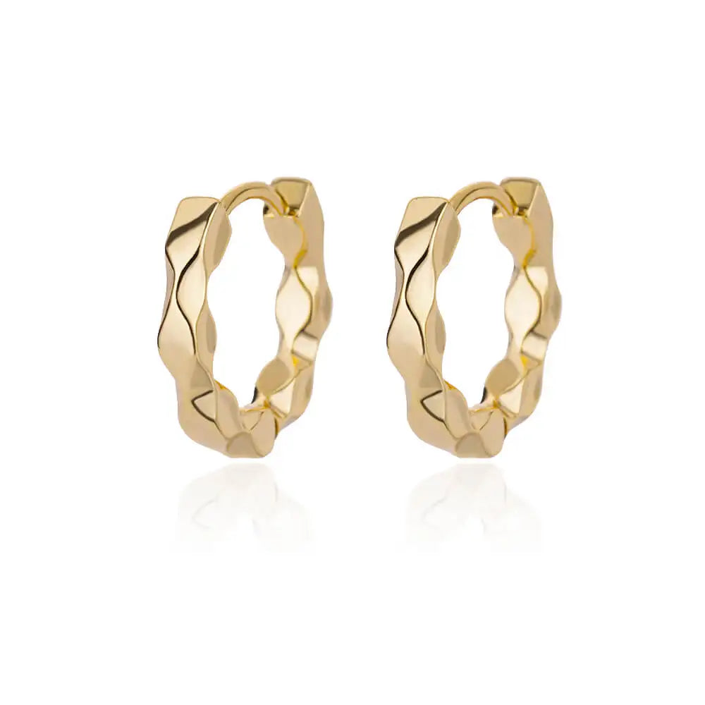 Luxury Stainless Steel Hoop Earrings