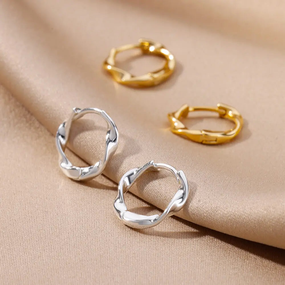 Luxury Stainless Steel Hoop Earrings