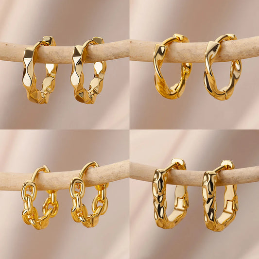 Luxury Stainless Steel Hoop Earrings